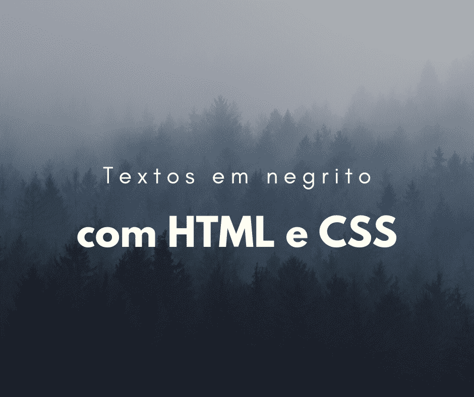 Maneira correta de deixar os textos em negrito com HTML/CSS